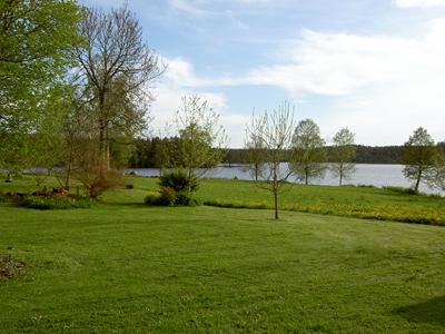 PICT3554.JPG