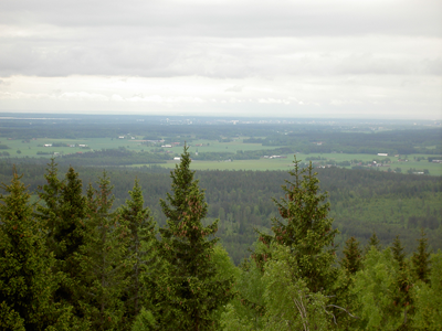 PICT3578.JPG