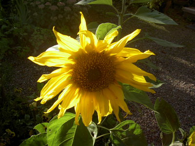 PICT3778.JPG