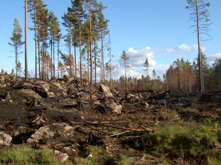 pict2352 brandf&auml;lt