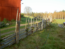 PICT4400-2.JPG